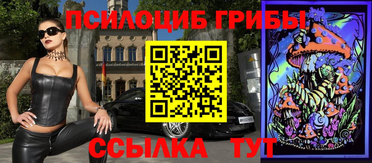 Псилоцибиновые грибы мицелий  Вход с VPN  Назарово  где найти наркотики  Псилоцибиновые грибы MAGIC MUSHROOMS 