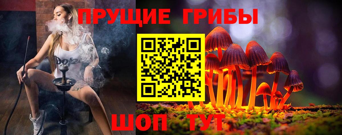 Псилоцибиновые грибы мухоморы Назарово